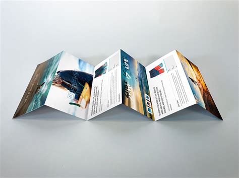 6 panel brochure template